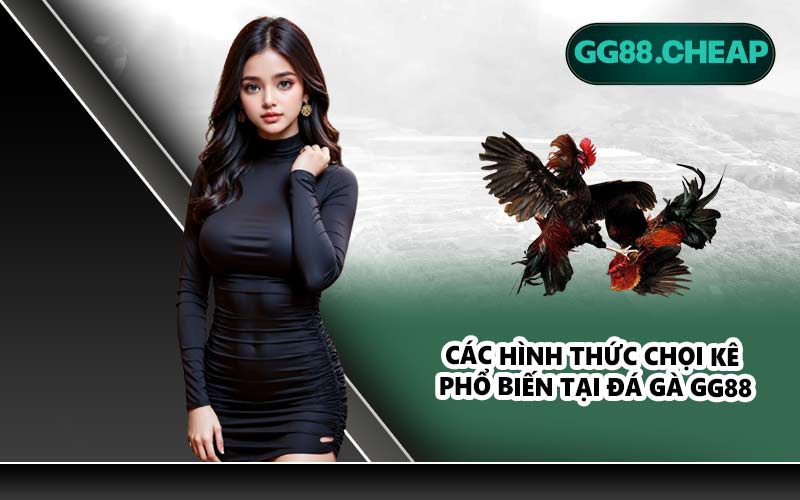 Các hình thức chọi kê phổ biến tại đá gà GG88