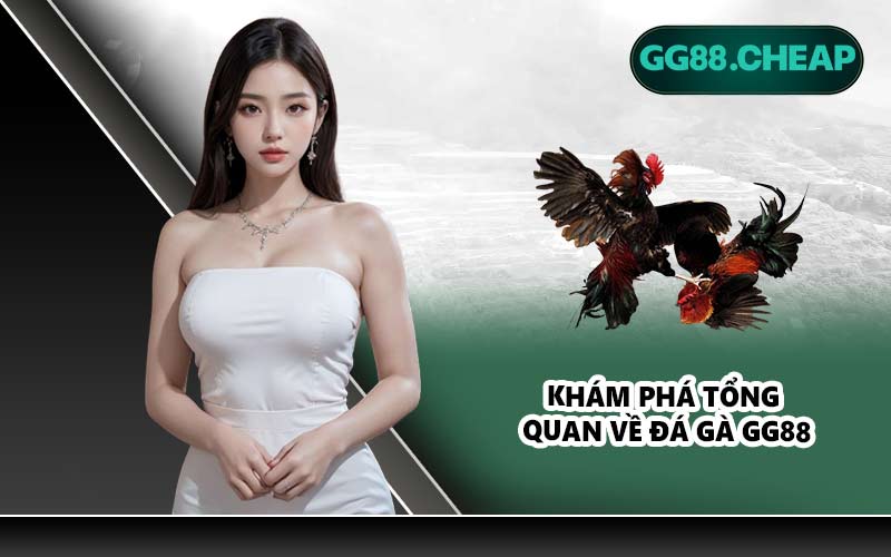 Khám phá tổng quan về đá gà GG88