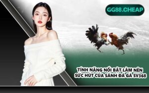 Tính năng nổi bật làm nên sức hút của sảnh đá gà SV368